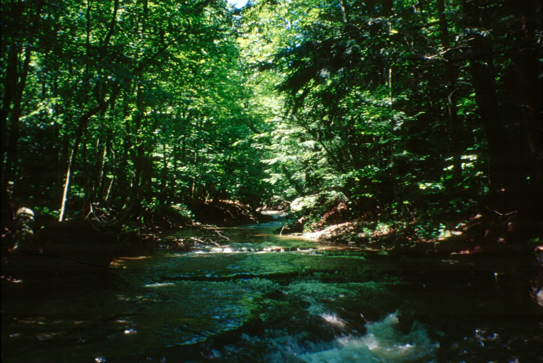 University at Buffalo, Dept of Geology